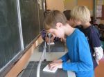 IMG_8511_cv