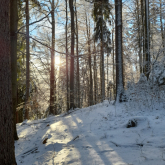 Damjan-Kovac-SS-za-gradbenistvo-in-varovanje-okolja-Pogled-2