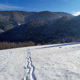 Damjan-Kovac-SS-za-gradbenistvo-in-varovanje-okolja-Pot